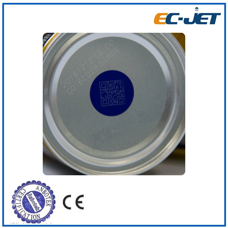 High Speed Expiry Date Pipe Packaging CO2 Laser Marking Machine (EC-laser)