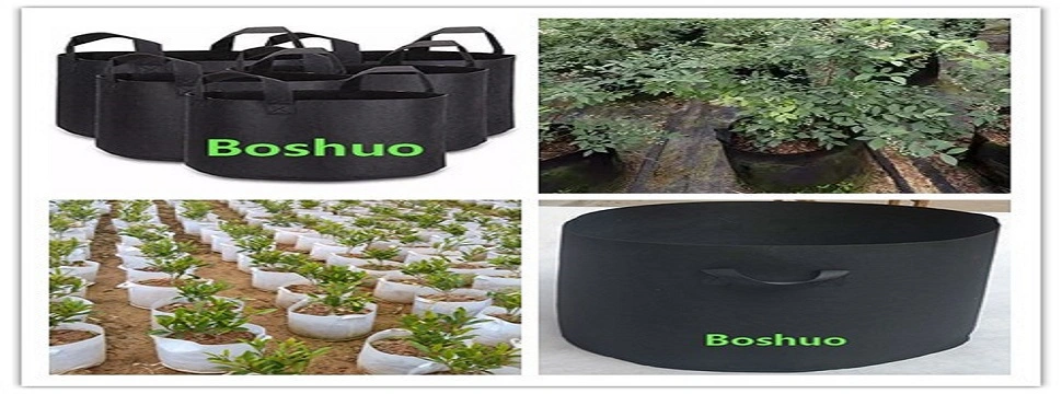 Gardening Heavy Duty Fabric Garden Jumbo Black Round Plant Grow Root Bag for Nursery Bonsai Shrubs Flowers Datepalm Blueberries Tree Chinese Manufacturer