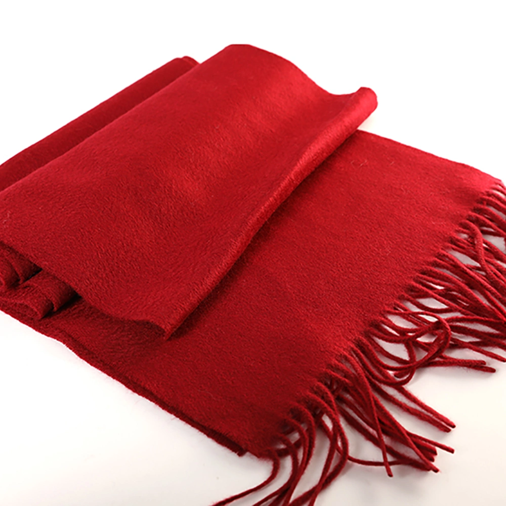 Hot Sale Women&prime;s Men&prime;s Autumn/Winter Cashmere Scarf with Tassel