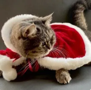 Christmas Luxury Cloak for Pets