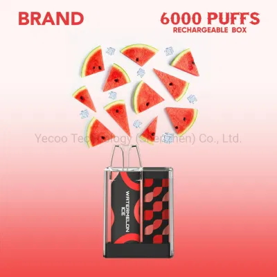 China Wholesale CE RoHS Factory Wholesale 6000 Puffs Private Brand OEM Rechargeable Box Mesh Coil Disposable Vape Pen Yecoo E Electronic E-Cigarette