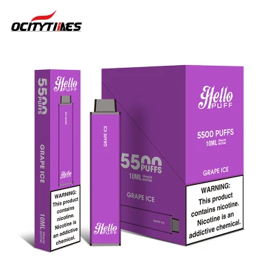 5000 Puffs Hot Selling Disposable Vape 10 Ml Big Capacity 5% Nicotine Rechargeable Electronic Cigarette