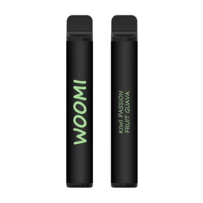 2023 Various Flavors Woomi Vape 2% Nicotine Mesh Coil Electronic Cigarette Rock 600 Puffs Disposable Vape
