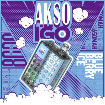 Type C Charging Port 8000puffs Rechargeable E-Cigarette Custom Flavor and Packaging Akso Igo Disposable Vape