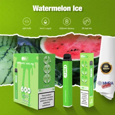 EU Hot Sale Factory Tpd Certificate Electronic Cigarette 600 Puffs Disposable Vape Wholesale