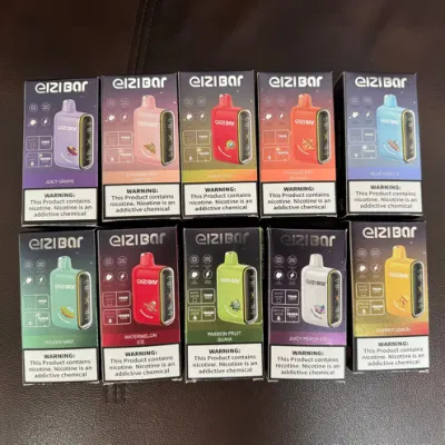 Vape Factory Price Vape Distributors 2024 New Vape 15000 Puffs Disposable Vape Disposable Electronic Cigarette Shipping USA Netherlands Hot Sell in Vape Shop