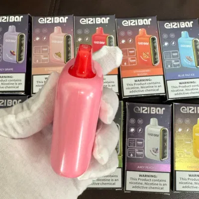 Vape Factory Price Vape Distributors 2024 New Vape 15000 Puffs Disposable Vape Disposable Electronic Cigarette Shipping USA Netherlands Hot Sell in Vape Shop