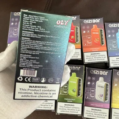 Vape Factory Price Vape Distributors 2024 New Vape 15000 Puffs Disposable Vape Disposable Electronic Cigarette Shipping USA Netherlands Hot Sell in Vape Shop