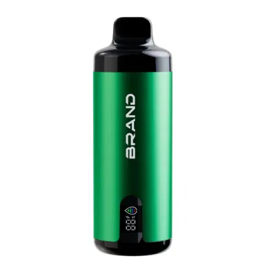 2024 Ecig Best Selling Smoking Huge Puffs 20ml Dual Mesh Coil OEM ODM Fruit Flavors E Liquid