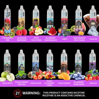 Type-C Randm Tornado 7000puffs Disposable Vape