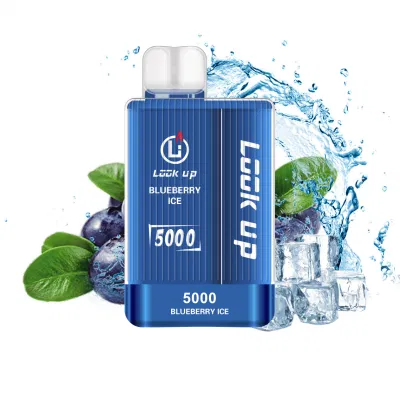 Disposable Vape Manufacturer Look up 5000puffs Smoke Vape Pen Bang Box 5000puff Energy Hookah Ecigarette