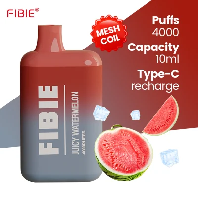 Wholesale Electronic Cigarette Fibie 4000 Puff Vaper Mini Rechargeable Lost E Cig Mary Germany Best Price Wape Shisha Randm Disposable Pen Vape