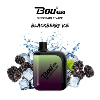 13 Types Flavor Fruit Disposable Vape