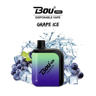 13 Types Flavor Fruit Disposable Vape