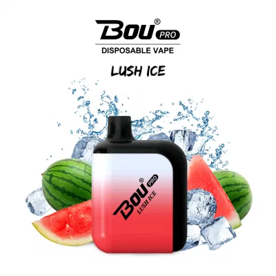 13 Types Flavor Fruit Disposable Vape