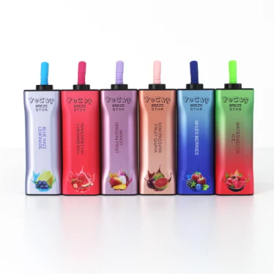 Wholesale Disposable I Vape Breze Stiik BS8000 Hotbox Vape