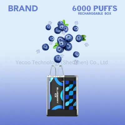 China Wholesale CE RoHS Factory Wholesale 6000 Puffs Private Brand OEM Rechargeable Box Mesh Coil Disposable Vape Pen Yecoo E Electronic E-Cigarette