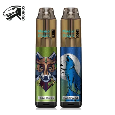 Magic Dragon Disposable Vapes 7000 Puffs Nicotine 6 Colors RGB Light Tobacco License Company