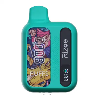 2024 Huge Puffs Disposable Vape 8000puffs Dual Mesh Coil Best Flavors Eliquid