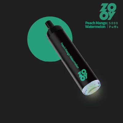  Wholesale Ecigator Ecig Zooy Apex 5000 Puffs Wax Health Disposable Vape Dry Herb Vaporizer