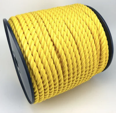 PP/PE Polypropylene Tugboat Hmpe Hemp Metallic Hollow Core 12mm UHMWPE Plastic Factory Twisted Cotton Telstra Safety Towing Synthetic Winch HDPE Rope