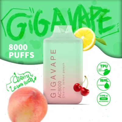 Wholesale Mesh Coil 8000 Puffs Rechargeable Vape Pen Disposable Pod Vape with Charging Port