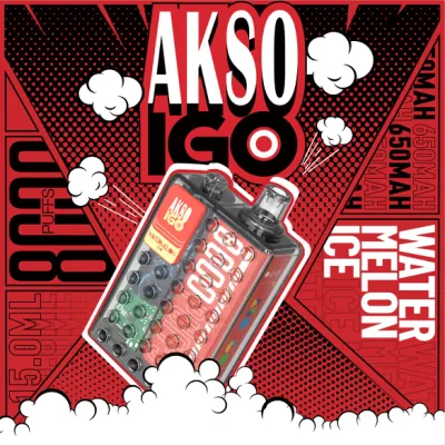 Type C Charging Port 8000puffs Rechargeable E-Cigarette Custom Flavor and Packaging Akso Igo Disposable Vape