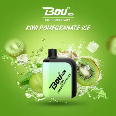 Bou PRO Wholesale Smoke Vape Pods Vaporizador Desechable Disposable Vape