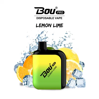 13 Types Flavor Fruit Disposable Vape