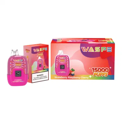 E Cigarette Waspe Box 15000 Puff Vape 15K Puffs Bar LCD Screen Vapes Factory Wholesale Disposable