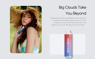 Rechargeable Battery Maskking Aroma Big Puffs Disposable 6000 Puffs Vape with Type-C Charging Port