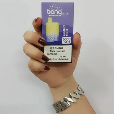 Disposable 5000puffs Smoke Vape Pen Bang Box 5000puff Energy