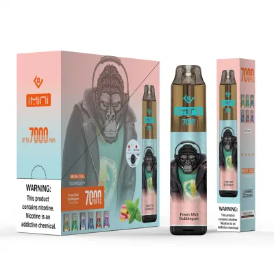 2024 Electronic Cigarette Disposable Vape Pen ODM OEM Flavor Wholesale 5000 6000 6500 7000 8000 9500 10000 Pufs Vapes Pens 7K Puff Disposable Vape Pen in Stock