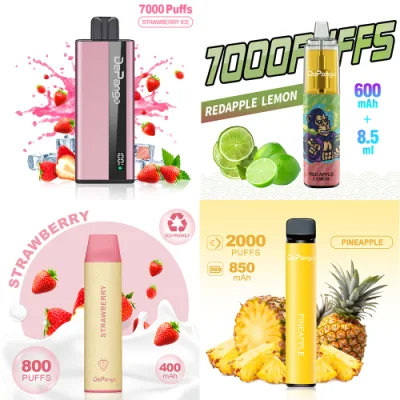 Wholesale Multi Flavors Disposable Vape 10ml 2% 850mAh 2000 4000 7000puffs
