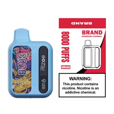2024 Huge Puffs Disposable Vape 8000puffs Dual Mesh Coil Best Flavors Eliquid