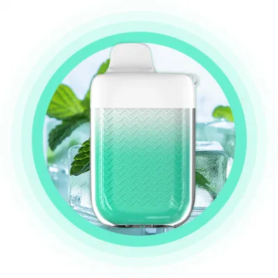 Fruits Series Disposable Electronic Cigarette 9000 Puffs Vape Pot Zero Nicotine Menthol Ice