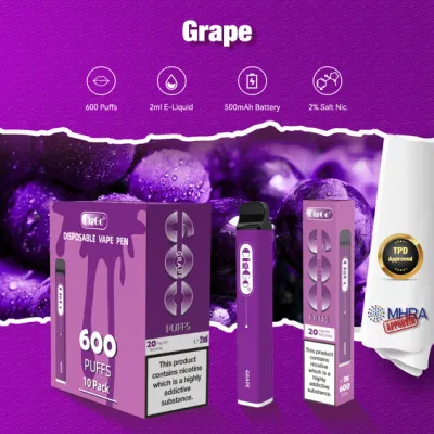 EU Hot Sale Factory Tpd Certificate Electronic Cigarette 600 Puffs Disposable Vape Wholesale
