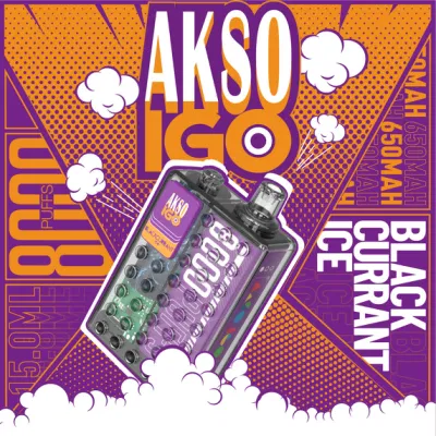  Type C Charging Port 8000puffs Rechargeable E-Cigarette Custom Flavor and Packaging Akso Igo Disposable Vape