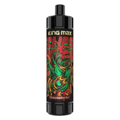 Breze Stiik King Max 10000 Puffs Disposal Vape or Electronic Cigarette 20ml Oil Juice Mesh Coil OEM ODM E Cigarette Vs Randm Tornado 10000 Vapes