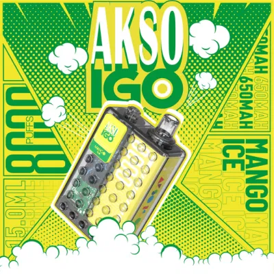 Type C Charging Port 8000puffs Rechargeable E-Cigarette Custom Flavor and Packaging Akso Igo Disposable Vape