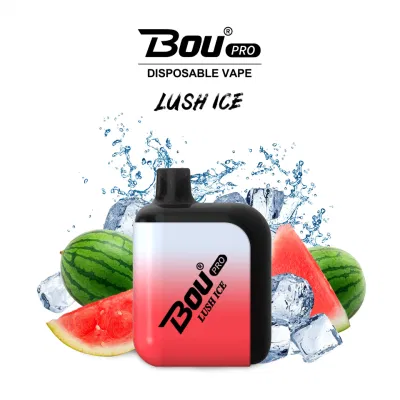 Free Samples Bou PRO Vape Wholesale 2% 5% Nicotine OEM 39 Flavors Disposable Vape E Cigarette 7000 Puffs