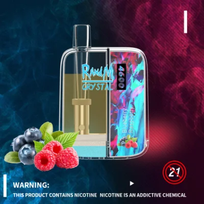New Transparent Design Original Disposable Vape 4600 Puffs Randm Crystal Vapor Pod
