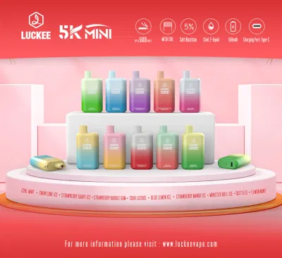  5000 Puffs Disposable Vape Pod Kit with 10 Customized Flavours for Options