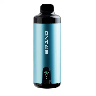 2024 Ecig Best Selling Smoking Huge Puffs 20ml Dual Mesh Coil OEM ODM Fruit Flavors E Liquid