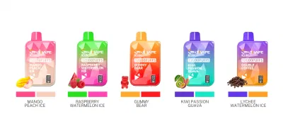Customized Grativape Hot Selling Premium Flavor Juice Bars Icube 12000 Puffs 0% 2% 3% 5% Nicotine Electronic Cigarette with Free Lanyard Alibaba Disposable Vape