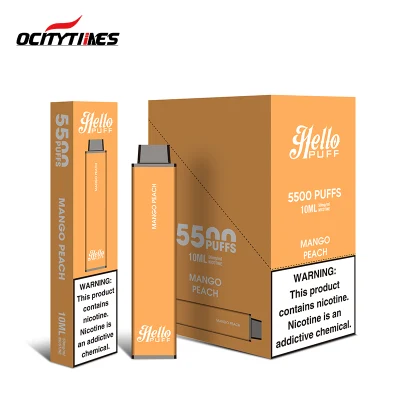 5000 Puffs Hot Selling Disposable Vape 10 Ml Big Capacity 5% Nicotine Rechargeable Electronic Cigarette