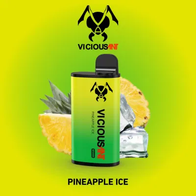 Factory Direct Selling Price Menthol Flavor Disposable Vape with 5000 Puffs and New Flavors of Various Fruits Wholesale Disposable Vape Pen