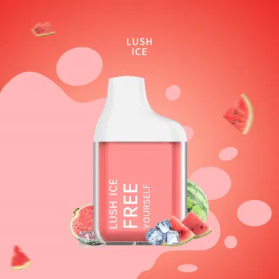 Freeeton F-Bar Wholesale 10 Flavors Disposable E-Cigarette Energy Pod