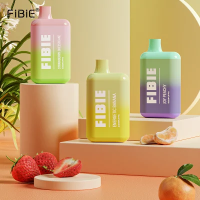 Wholesale Electronic Cigarette Fibie 4000 Puff Vaper Mini Rechargeable Lost E Cig Mary Germany Best Price Wape Shisha Randm Disposable Pen Vape