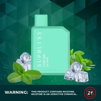 Wholesale Hot Selling 5% Nicotine Salt 500mAh Supbliss Cube 600 Puff Disposable Box Vape